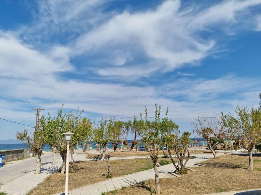 Connie'S Beach House Kos Town Ngoại thất bức ảnh